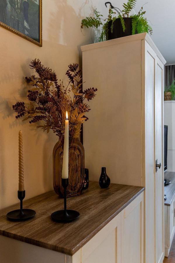 Old Town Vintage Apartment Sturova โกชิเซ ภายนอก รูปภาพ