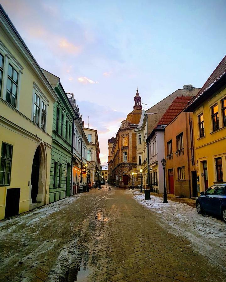 Old Town Vintage Apartment Sturova โกชิเซ ภายนอก รูปภาพ