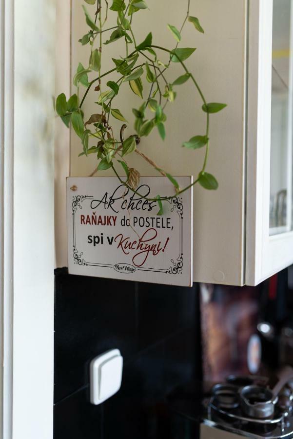 Old Town Vintage Apartment Sturova โกชิเซ ภายนอก รูปภาพ