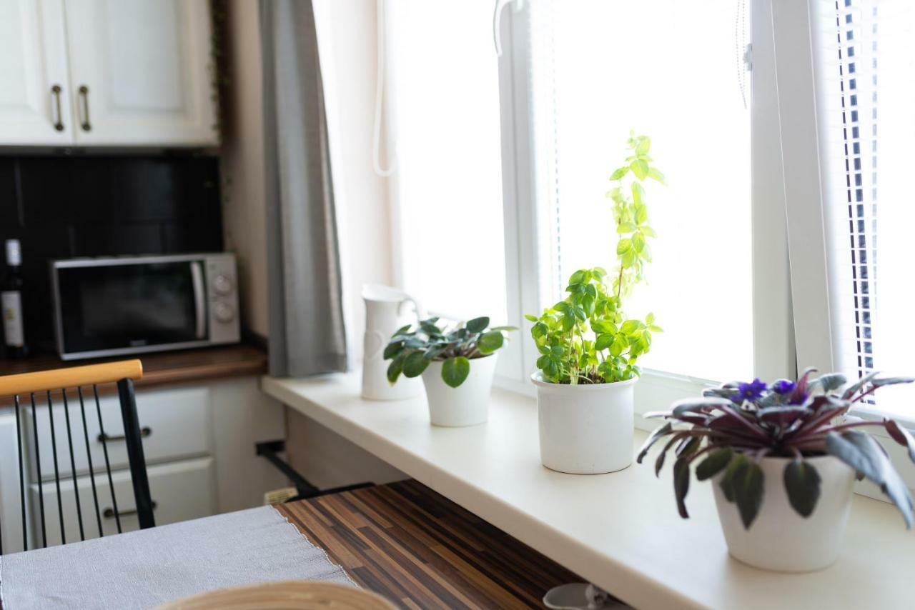 Old Town Vintage Apartment Sturova โกชิเซ ภายนอก รูปภาพ