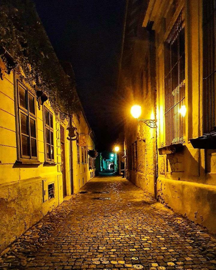 Old Town Vintage Apartment Sturova โกชิเซ ภายนอก รูปภาพ